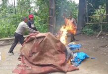 Polres Malang Bongkar Sarana Judi Sabung Ayam di Poncokusumo, Lokasi Tersebunyi di Tengah Kebun