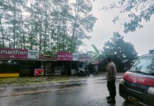 Respon Cepat Polsek Dampit Datangi Pohon Tumbang Di Pamotan