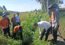 Polisi Selidiki Penemuan Jasad Bayi di Saluran Irigasi Sawah Bululawang Malang